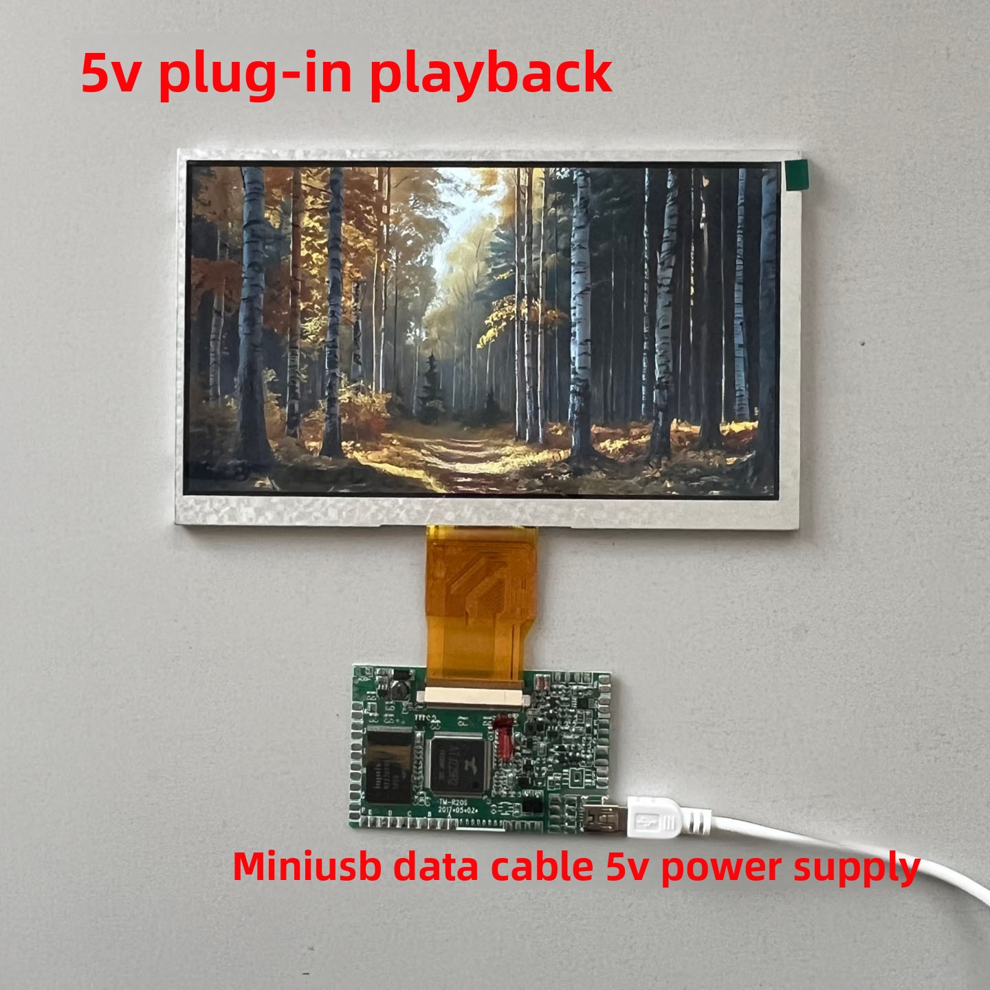 Electronic Professional Video  - огляд і ціна Diy Electronics Videos